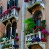 Цветя и тераси във Венеция